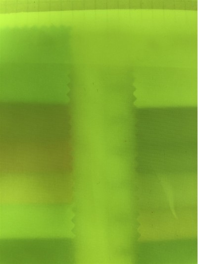 DG-WS  1822  100%Nylon  300T 40D 後面照